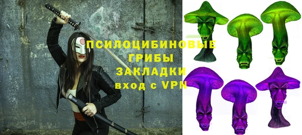 прущий лед Горно-Алтайск