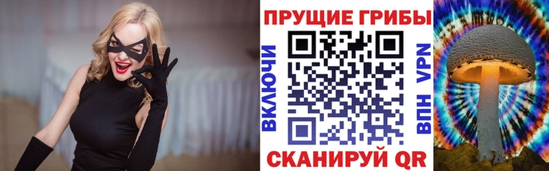 Псилоцибиновые грибы мицелий  где купить наркоту  Махачкала 
